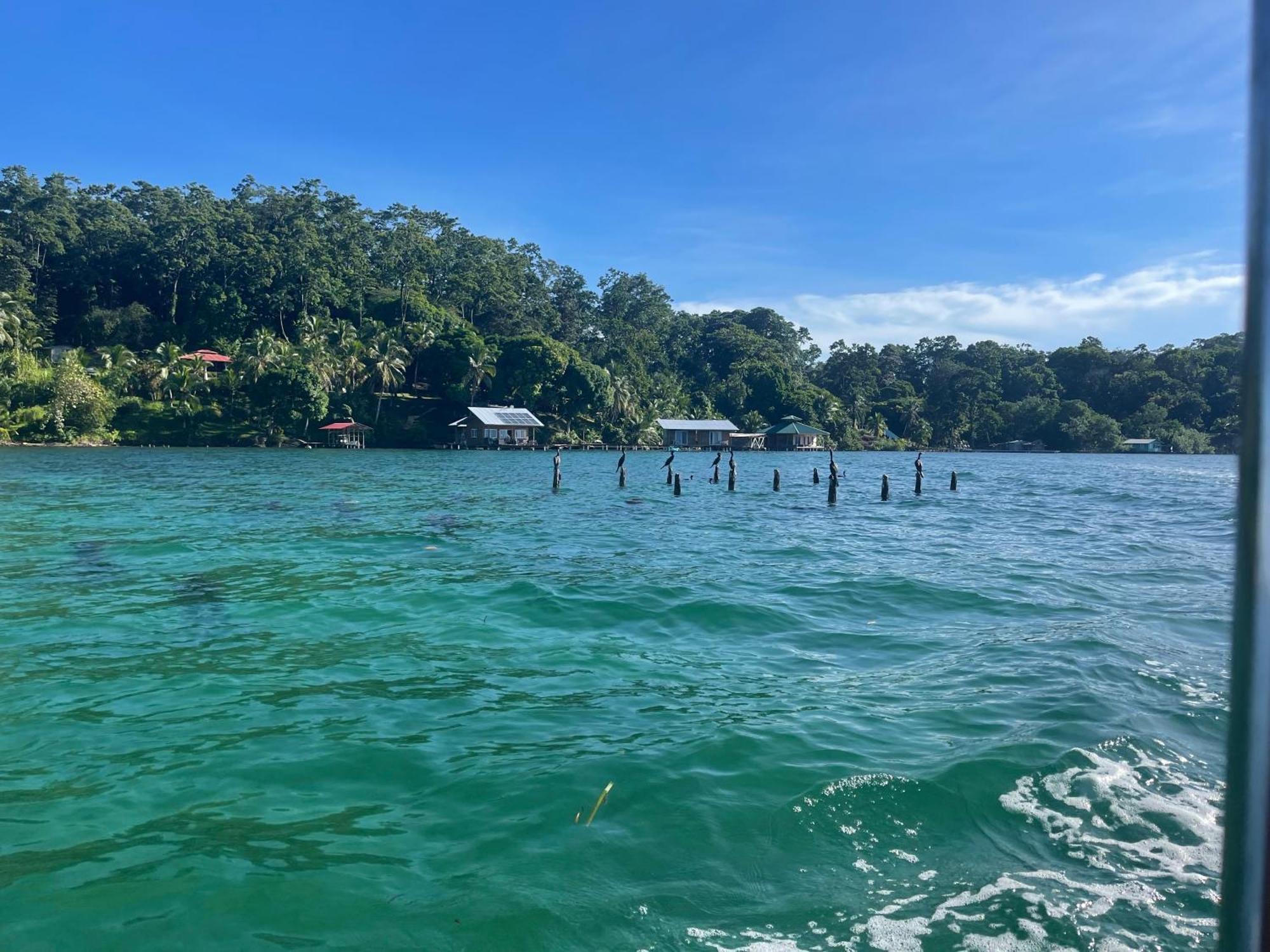 Hotel Ponci'S Gate To Gaia Holistic Center Bocas del Toro Exterior foto